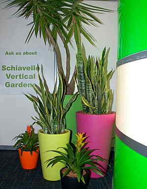 Cone Floor Mixed at Green Cities 2009 Three cones in magenta, lime, tangerine, andf green.
