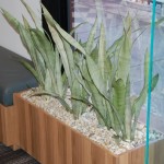 Custom Designed Planters