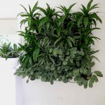 Terra Wall or Eco Wall