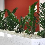 Gallery of Tambour Cabinet Planters