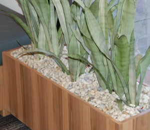 Custom Planter. We designed the internal. More below the pebbles than you think. Custom Planters Brisbane - we can help you design your custome or insitu planters.
