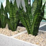 Tambour Planter Box Metal planter box with perforation on cabinet