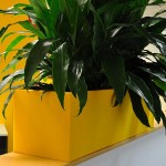 Urban 8 in Pineapple Yellow Urban 8 planter with Janet Craig