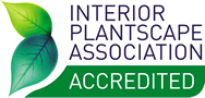 Accredited indoor plant hire Brisbane and Australia