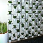 Schiavello Vertical Garden with Sansevieria Hahnii and white full gloss pots