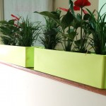 These planters sit on top of partitions so use no valuable floor or desk space.