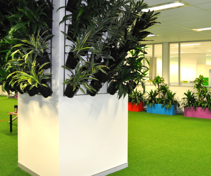 Showing 1.2 square metres of plants in a green wall.