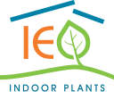 IEQ Indoor Plants Brisbane and Office Plants Brisbane