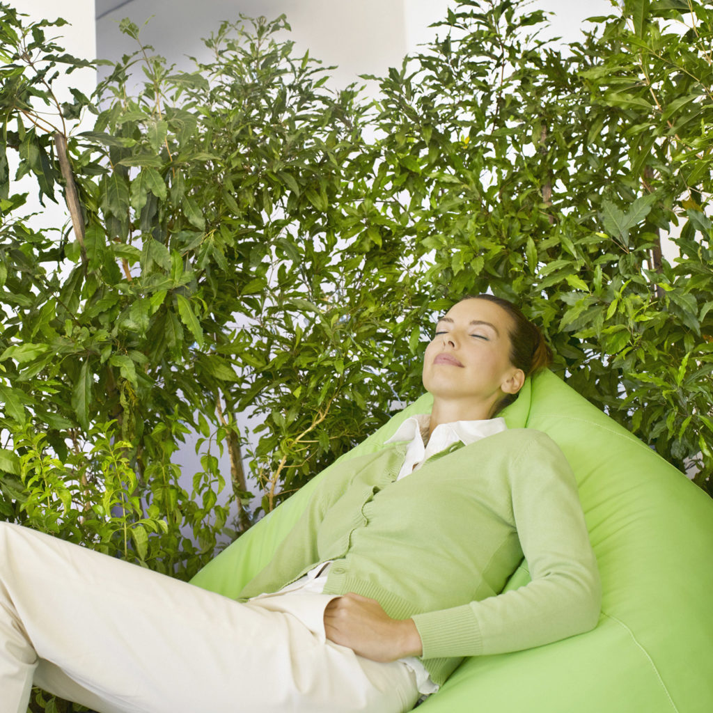 An image of a young woman relaxing in a bean bag in front of small leaf fig trees.