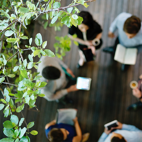 A birds eye view of five people sitting in a room surrounded by leaves.