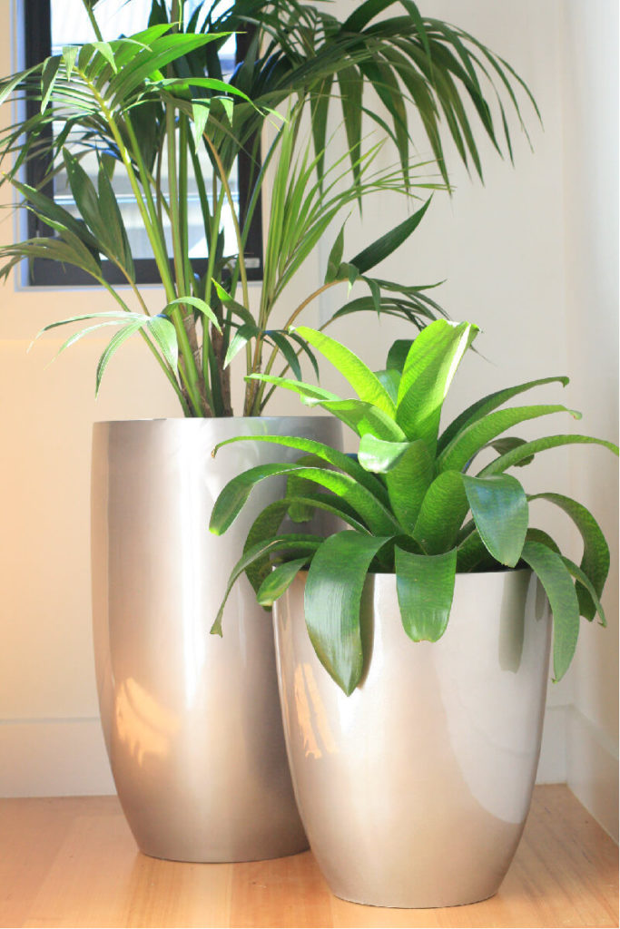 Showing two Hendra planters, one tall and one short.