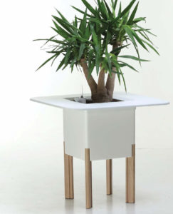 Showing a white Mediterranio Planter with four timber legs .