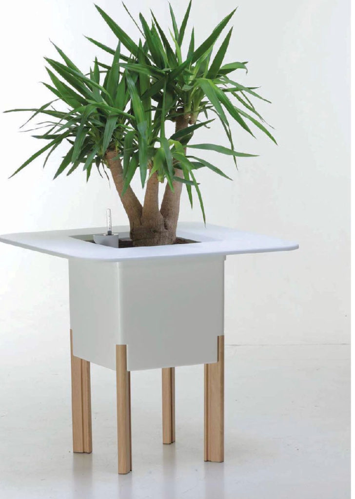 Showing a Mondum Planter in white with four legs and holding a Yucca plant.