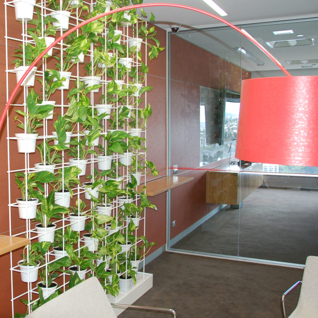 Showing a Schiavello Vertical Garden. It is planted with Pothos in white pots.