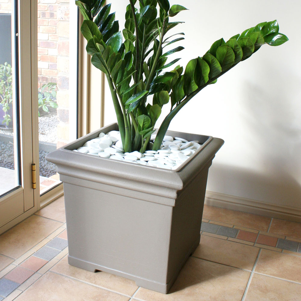Showing a traditional square planter. It is planted with a Zanzibar Gem and uses white pebbles as the topping.