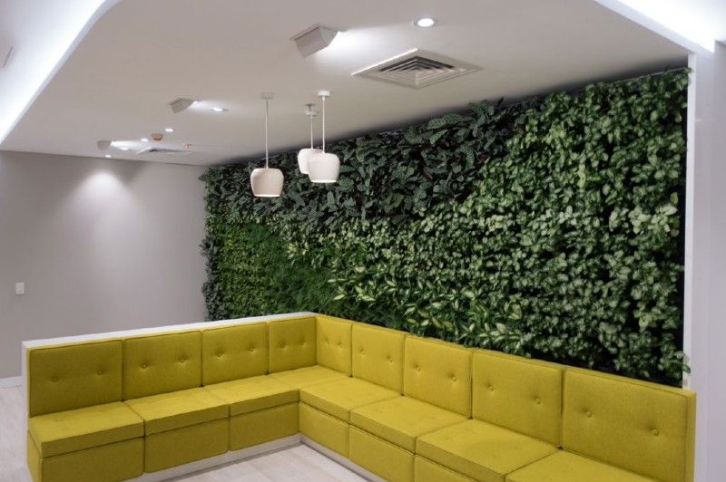 Green Wall in NSW Government Department Office